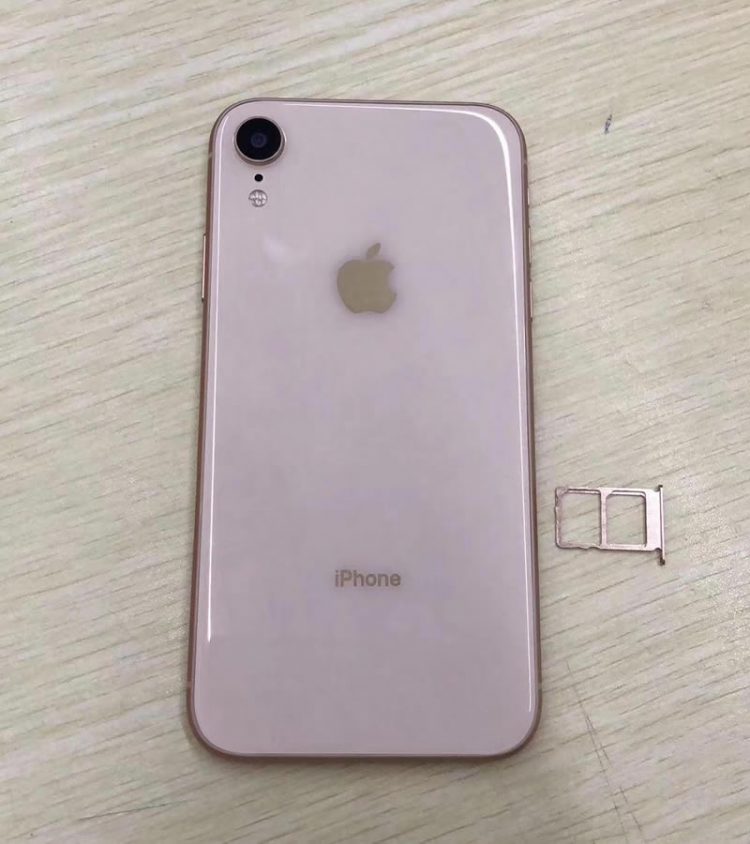 ภาพหลุด iPhone รุ่น LCD 6.1 นิ้ว สีแดง, สีทอง, สีน้ำเงิน และ สีขาว รองรับ 2 ซิมการ์ด