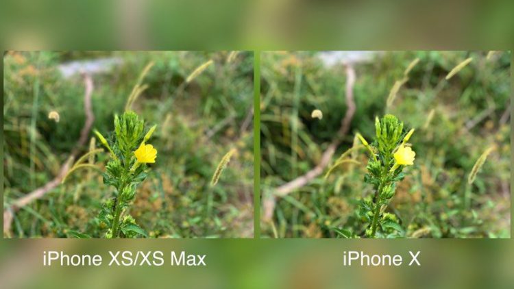 เปรียบเทียบคุณภาพกล้อง iPhone XS Max vs. iPhone X วัดกันแบบช็อตต่อช็อต