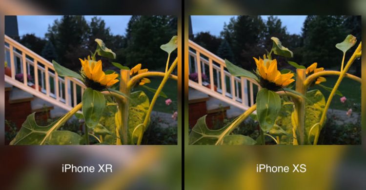 เปรียบเทียบกล้อง iPhone XR vs iPhone XS วัดกันแบบช็อตต่อช็อต