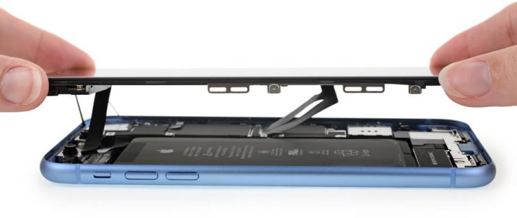 iPhone XR ถูกชำแหละแล้ว เผยให้เห็นฮาร์ดแวร์ภายใน ซึ่งมีส่วนผสมระหว่าง iPhone 8 กับ iPhone X