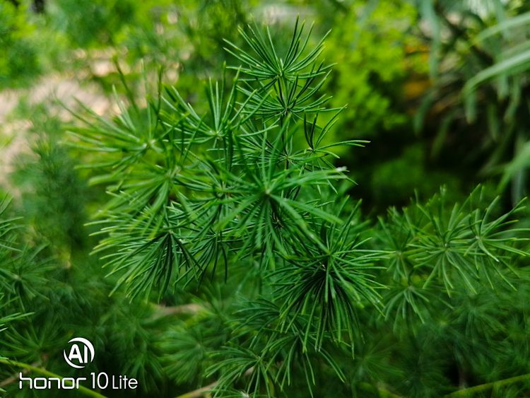 รีวิว Honor 10 Lite ดีไซน์ไล่เฉดสีสุดงาม เซลฟี่สวย สไตล์คุณ กล้อง AI ความละเอียด 24 ล้านพิกเซล สเปกแรงระดับเรือธง ราคาสุดคุ้ม