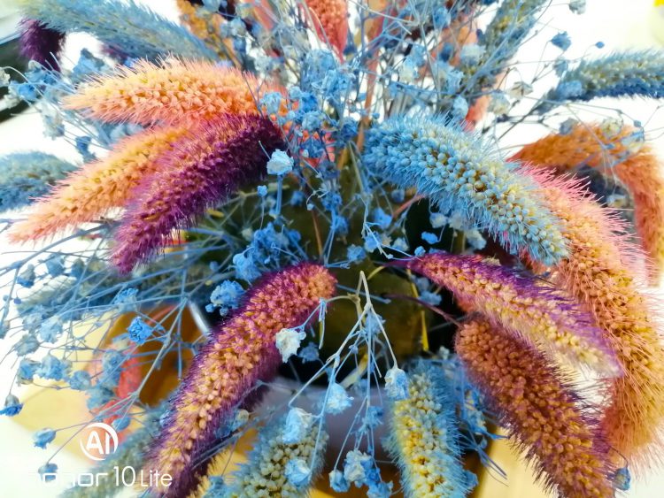 รีวิว Honor 10 Lite ดีไซน์ไล่เฉดสีสุดงาม เซลฟี่สวย สไตล์คุณ กล้อง AI ความละเอียด 24 ล้านพิกเซล สเปกแรงระดับเรือธง ราคาสุดคุ้ม