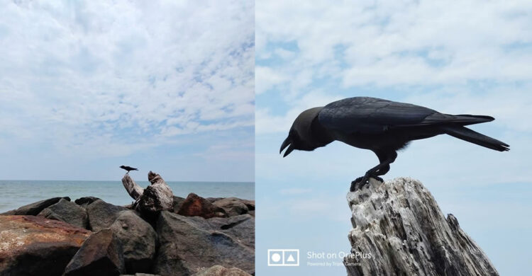 ชมภาพถ่ายจาก OnePlus 7 Pro ถ่ายด้วยกล้องหลัง 3 ตัว กล้องหลัก 48 ล้านพิกเซล F1.6 กล้องเทเลโฟโต้ 8 ล้านพิกเซล ซูม 3 เท่าไม่สูญเสียรายละเอียด และกล้องมุมกว้าง 117 องศา ความละเอียด 16 ล้านพิกเซล