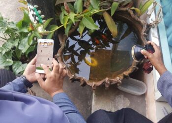 ขจัดตัวการร้าย! แอปฯ อสม.ออนไลน์ ปล่อยฟีเจอร์ใหม่ “สำรวจแหล่งลูกน้ำยุงลาย”พร้อมใช้งานแล้วทั่วประเทศ