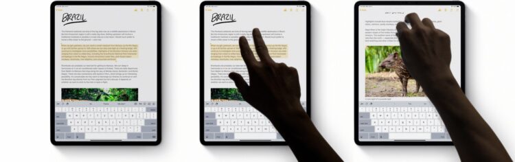 เลิกเขย่าเครื่อง!! วิธีใช้คำสั่งนิ้วในการ Cut, Copy, Paste, Undo และ Redo บน iOS 13 และ iPadOS