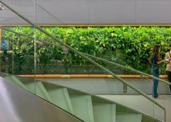 พาทัวร์ Apple Store สาขา Omotesando หลังจากได้รับการรีโนเวทใหม่ในรอบ 5 ปี พร้อมกำแพงต้นไม้สีเขียว (ชมคลิป)