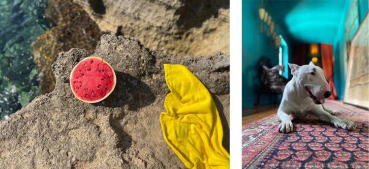 สำรวจระบบกล้องใหม่ของ iPhone 11, iPhone 11 Pro และ iPhone 11 Pro Max