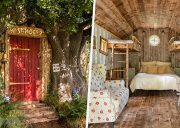 เป็นจริงแล้ว!! AirBnB เปิดตัวบ้านต้นไม้หมีพูห์ (Winnie the Pooh) ในประเทศอังกฤษ ออกแบบโดยศิลปินที่วาดภาพในเรื่อง ราคาคืนละประมาณ 4,390 บาท