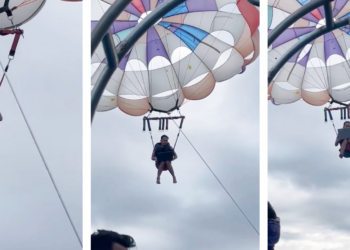 WFH ทำงานที่ไหนก็ได้!! เจอเดดไลน์ตอนไปเที่ยว เปิดคอมหา Wi-Fi กลางทะเล ส่งงานทันขณะอยู่บนพาราเซล