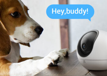 EZVIZ C6 กล้องสมาร์ทโฮมในบ้านระบบ AI ตรวจจับเสียงร้อง แยกรูปร่างมนุษย์ สัตว์เลี้ยงได้อย่างชาญฉลาด โทรออกทันทีเพียงโบกมือ