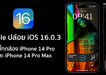 Apple ปล่อย iOS 16.0.3 ตัวเต็มออกมาแก้บั้กกล้อง iPhone 14 Pro และ iPhone 14 Pro Max