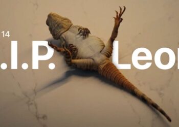 Apple ปล่อยโฆษณาใหม่ แนะนำ Action Mode ใน iPhone 14 และฟีเจอร์ยกเลิกการส่งข้อความของ iOS 16