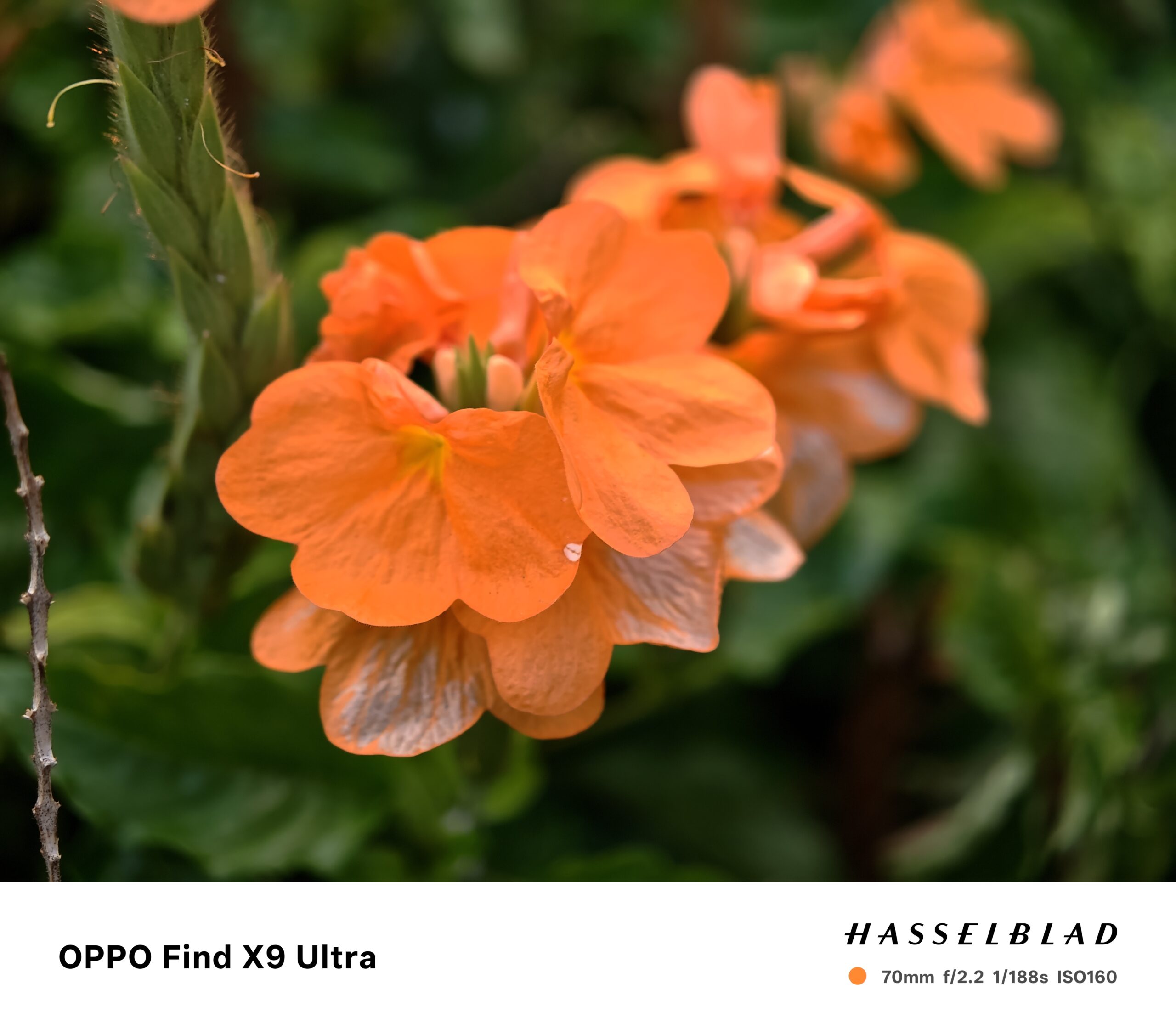 รีวิว OPPO Find X9 Ultra สมาร์ทโฟนที่เหมือนยกกล้องระดับมืออาชีพมาไว้ในเครื่อง มีอะไรอัลตรา มีอะไรอัปเกรดบ้าง !? และยังมี Enco Clip2 หูฟังโอเพนเอียร์ ดีไซน์โดดเด่น