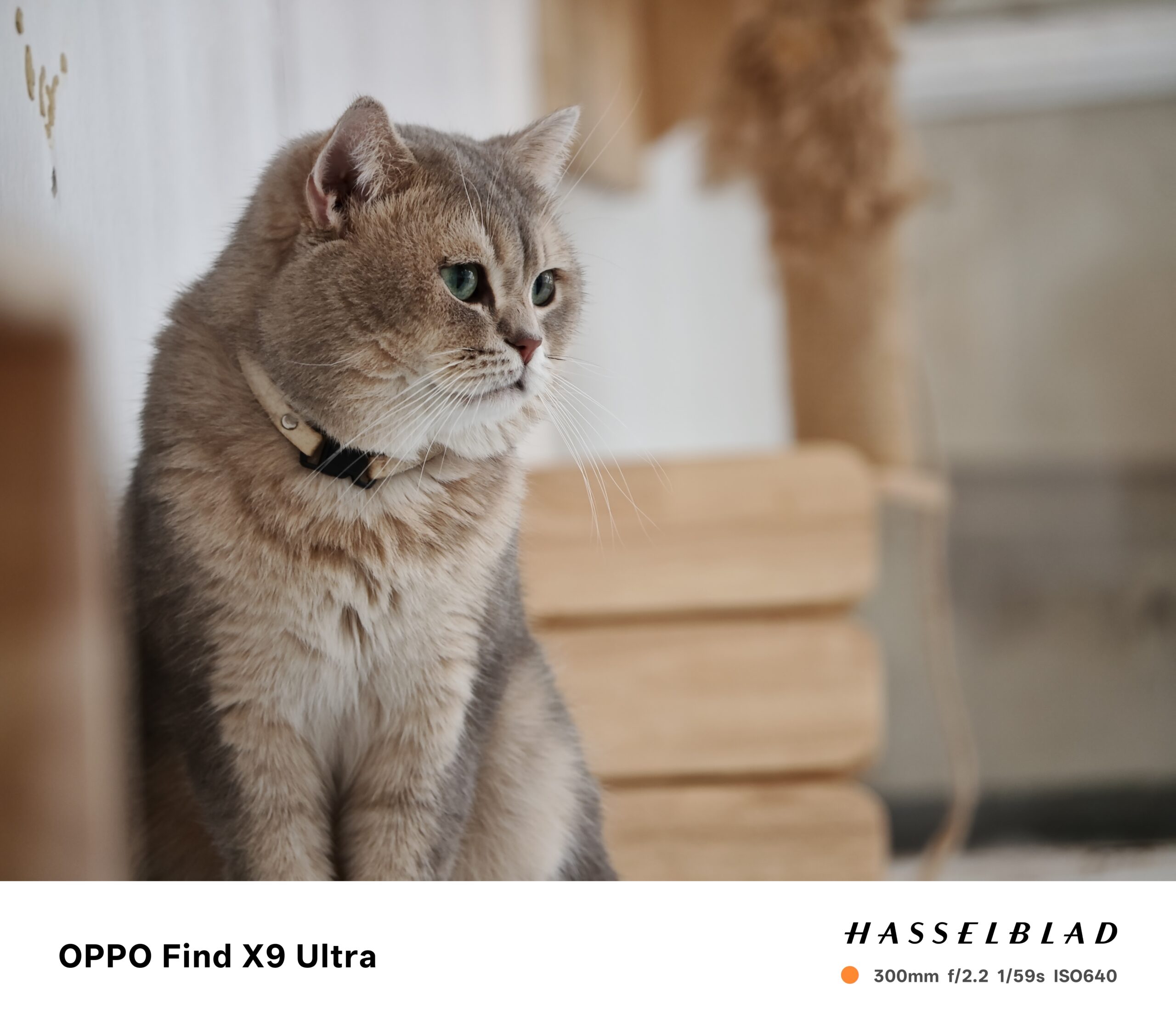 รีวิว OPPO Find X9 Ultra สมาร์ทโฟนที่เหมือนยกกล้องระดับมืออาชีพมาไว้ในเครื่อง มีอะไรอัลตรา มีอะไรอัปเกรดบ้าง !? และยังมี Enco Clip2 หูฟังโอเพนเอียร์ ดีไซน์โดดเด่น