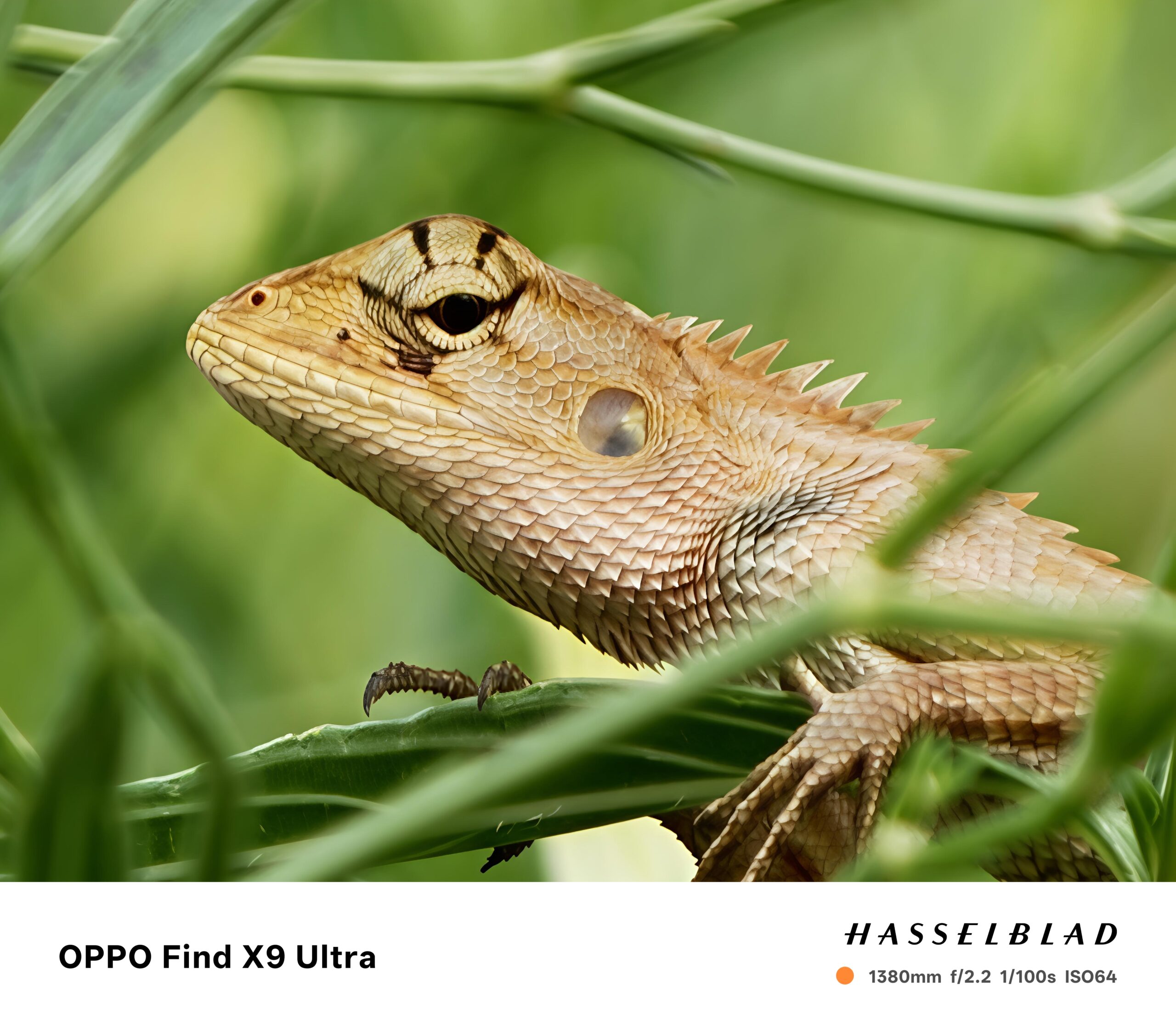 รีวิว OPPO Find X9 Ultra สมาร์ทโฟนที่เหมือนยกกล้องระดับมืออาชีพมาไว้ในเครื่อง มีอะไรอัลตรา มีอะไรอัปเกรดบ้าง !? และยังมี Enco Clip2 หูฟังโอเพนเอียร์ ดีไซน์โดดเด่น