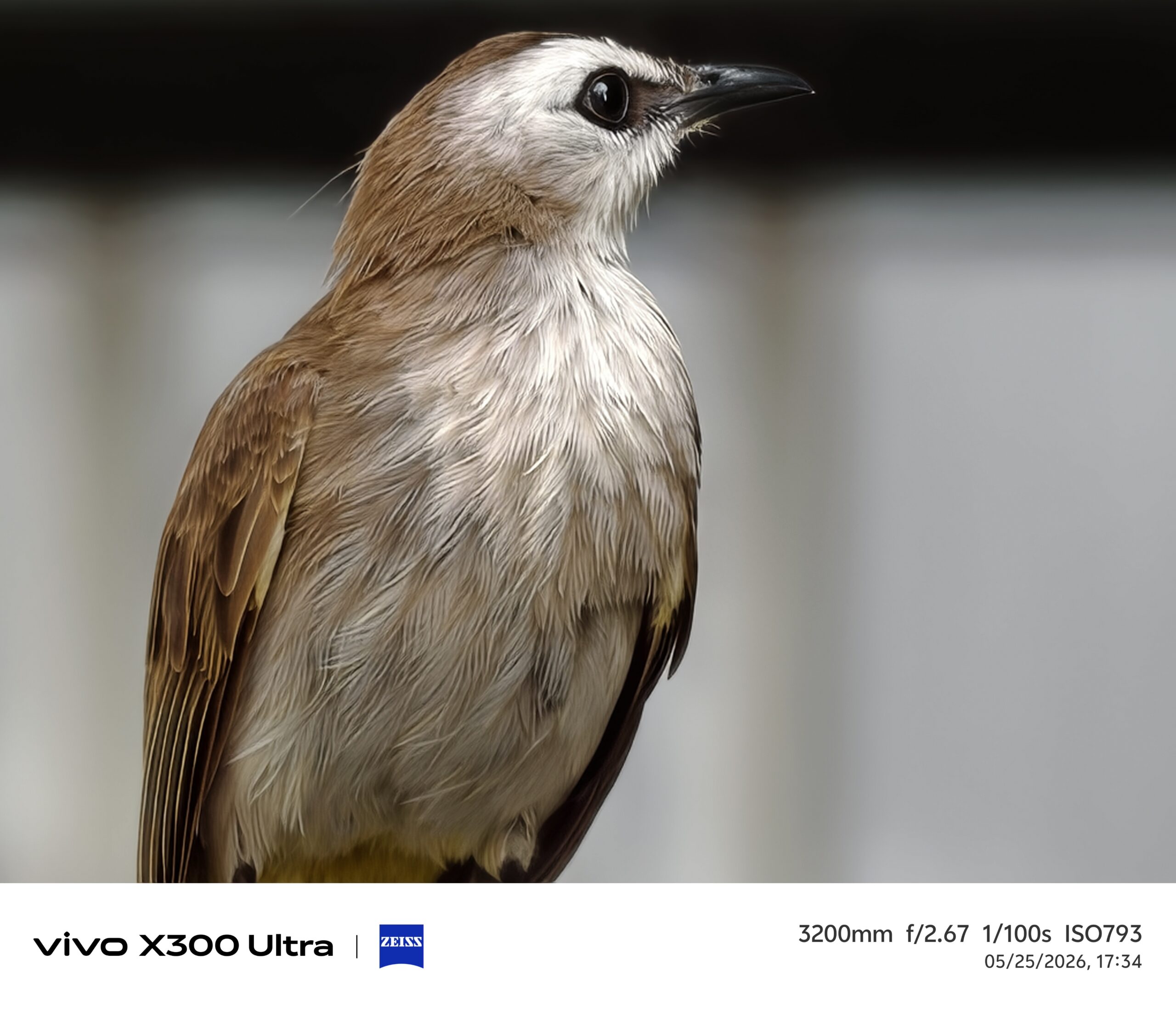 รีวิว vivo X300 Ultra สุดยอดสมาร์ตโฟนถ่ายวิดีโอระดับมืออาชีพ “ZEISS CINEMATICS. BORN TO CREATE ” พร้อมvivo ZEISS ชุดเลนส์เสริม Gen 2 Ultra ระยะซูม 400mm