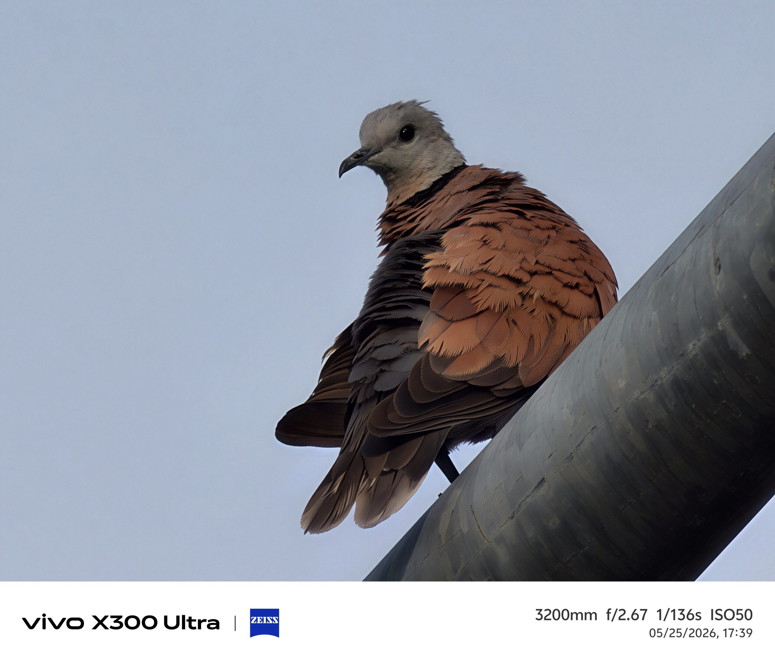 รีวิว vivo X300 Ultra สุดยอดสมาร์ตโฟนถ่ายวิดีโอระดับมืออาชีพ “ZEISS CINEMATICS. BORN TO CREATE ” พร้อมvivo ZEISS ชุดเลนส์เสริม Gen 2 Ultra ระยะซูม 400mm