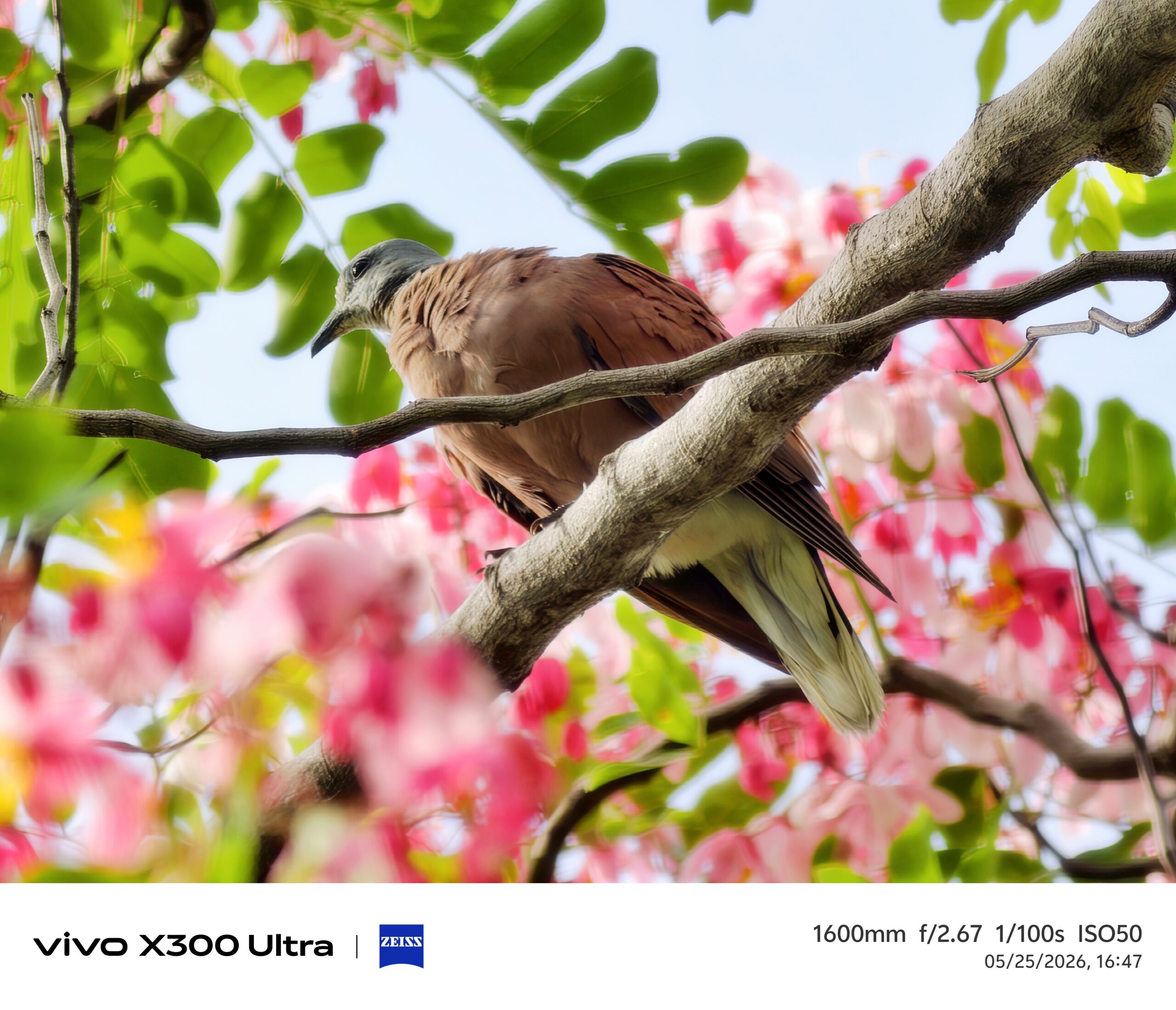 รีวิว vivo X300 Ultra สุดยอดสมาร์ตโฟนถ่ายวิดีโอระดับมืออาชีพ “ZEISS CINEMATICS. BORN TO CREATE ” พร้อมvivo ZEISS ชุดเลนส์เสริม Gen 2 Ultra ระยะซูม 400mm