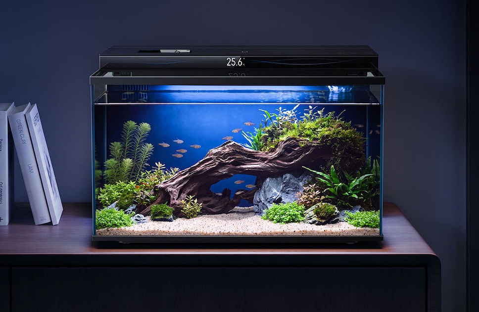 Xiaomi เปิดตัวตู้ปลาอัจฉริยะ Mijia Smart Fish Tank 2 Pro มีระบบให้อาหารอัตโนมัติ ราคาราว 2,990 บาท