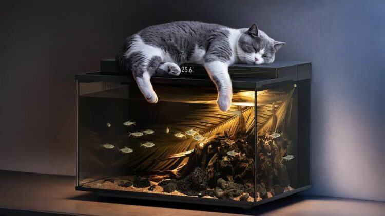 Xiaomi เปิดตัวตู้ปลาอัจฉริยะ Mijia Smart Fish Tank 2 Pro มีระบบให้อาหารอัตโนมัติ ราคาราว 2,990 บาท