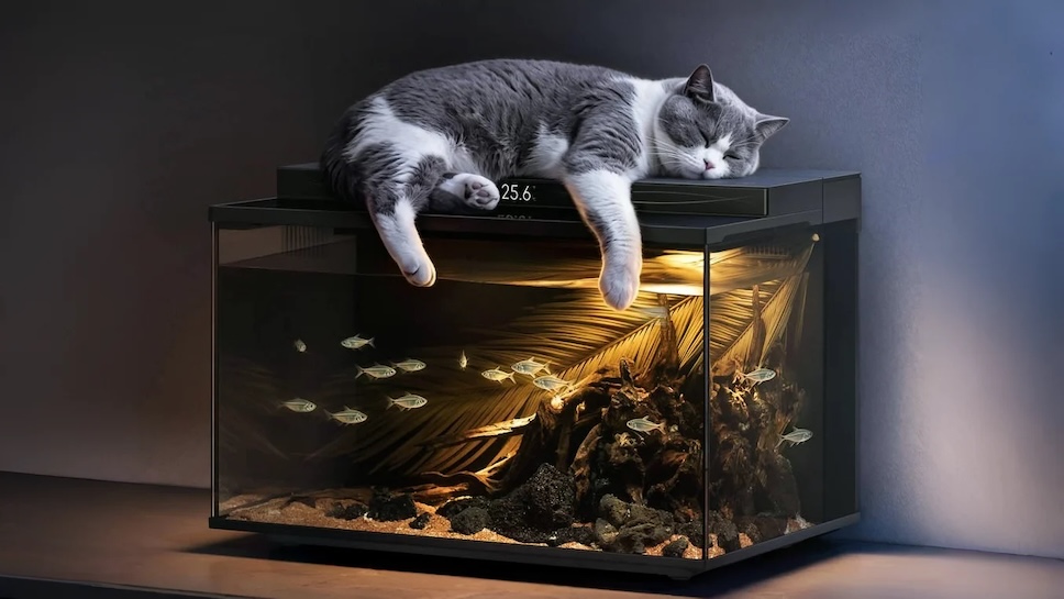 Xiaomi เปิดตัวตู้ปลาอัจฉริยะ Mijia Smart Fish Tank 2 Pro มีระบบให้อาหารอัตโนมัติ ราคาราว 2,990 บาท