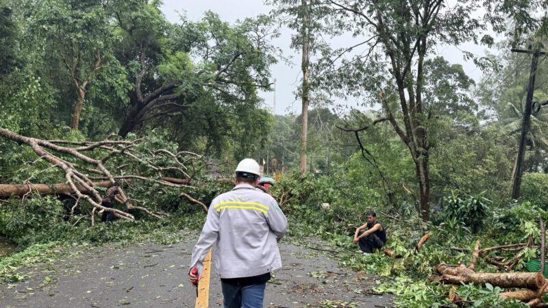AIS เดินหน้าดูแลโครงข่ายต่อเนื่อง รับมือฝนหนัก และน้ำท่วมทั่วประเทศ ประสานภาครัฐส่งรถสถานีฐานเคลื่อนที่เสริมศูนย์พักพิง พร้อมเปิดจุดชาร์จแบตดูแลประชาชน