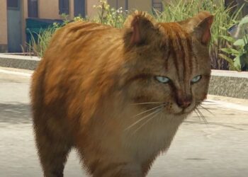 GTA 6 อาจอนุญาตให้ผู้เล่นมีสัตว์เลี้ยงเป็นของตัวเอง