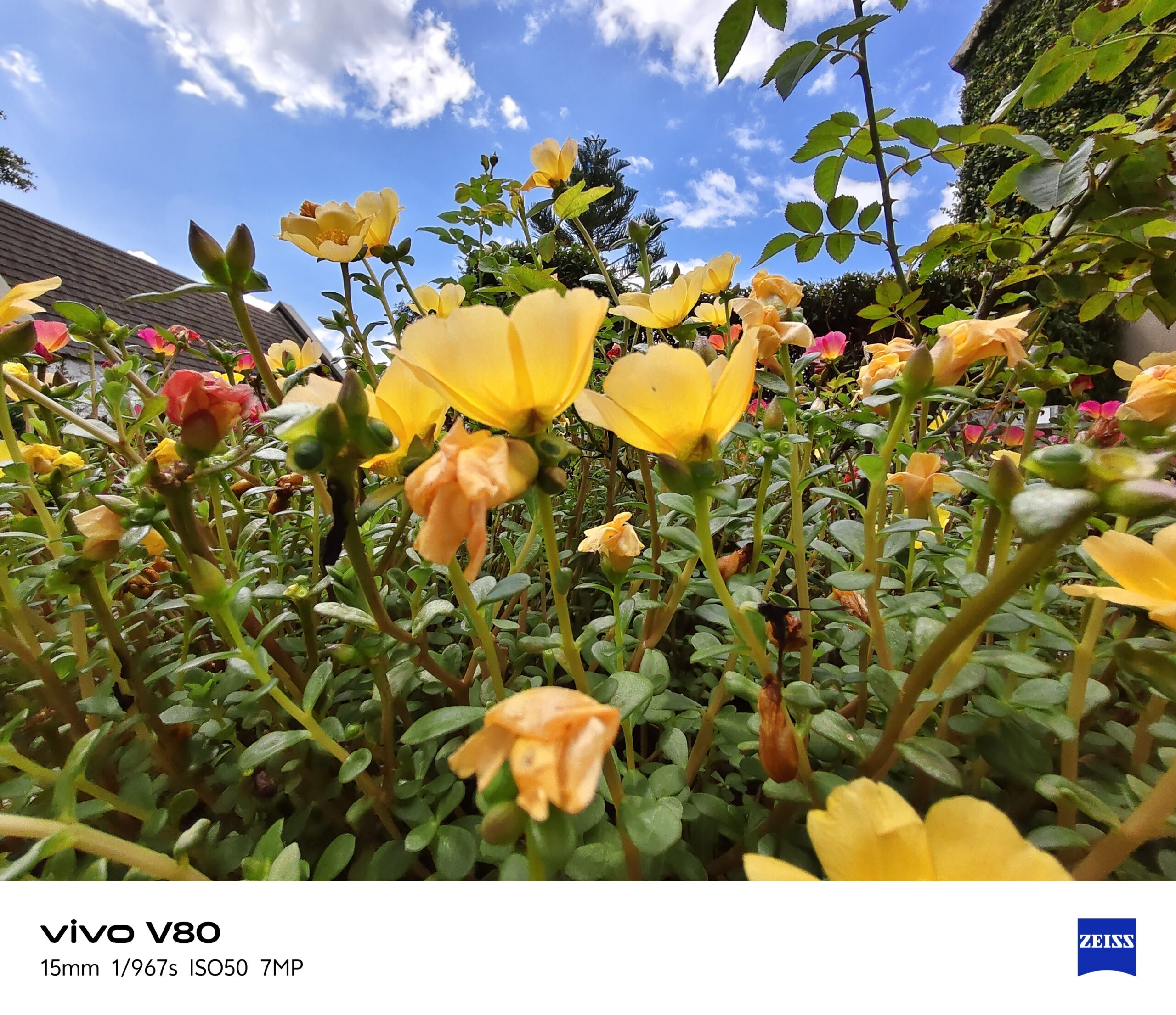 รีวิว vivo V80 "เสกช็อตลูกรักพระเจ้า" มาพร้อมกล้อง ZEISS ดีไซน์ดวงดาวสุดโดดเด่น แบตเตอรี่ 7200mAh ชาร์จไว 90W FlashCharge ระบบปฏิบัติการใหม่ล่าสุด OriginOS 7