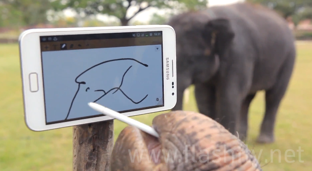 มาดูปีเตอร์ช้างไทยแสนรู้ที่หลงไหล Samsung Galaxy Note ใช้งานวาดรูป เล่นดนตรี ถ่ายภาพ