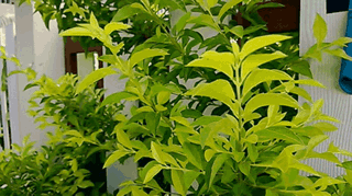 เปลี่ยนมิติใหม่ของการถ่ายภาพนิ่ง ให้เป็นภาพเคลื่อนไหวแสนง่ายดายด้วย  cinemagraph บน Nokia Lumia 920