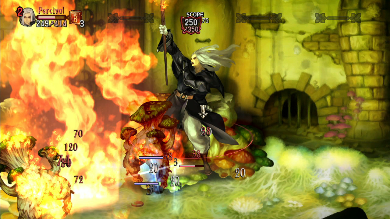 Dragon’s Crown จอมขมังเวทย์ Wizard ผู้ควบคุมธาตุทั้งสี่