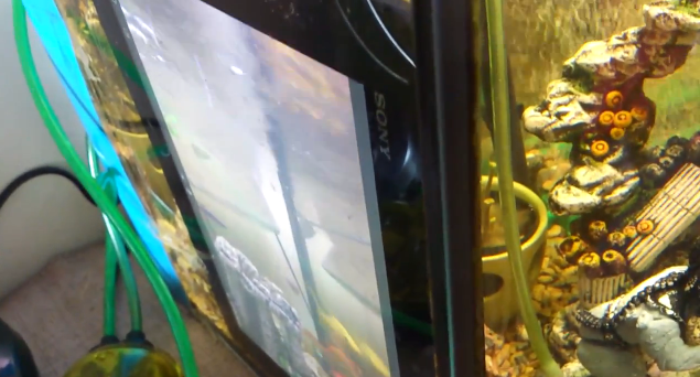 ชมคลิป Xperia Tablet Z แหวกว่ายในตู้ปลาพ พร้อมถ่ายคลิปใต้น้ำ