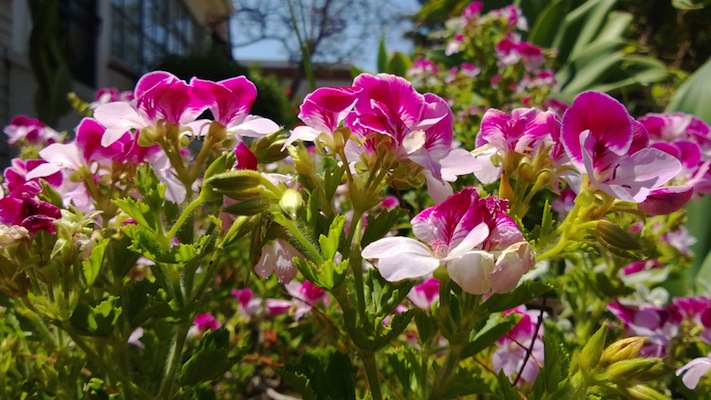 ชมตัวอย่างภาพถ่ายและวิดิโอจาก Nokia Lumia 928 รุ่นล่าสุด