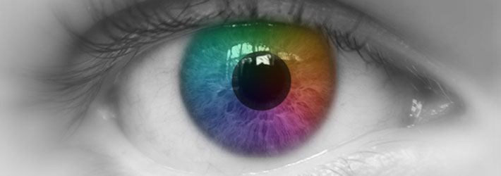 นักวิเคราะห์คาด! จอ Retina มีปัญหาทำให้ Apple เลื่อนการเปิดตัว iPhone และ iPad Mini รุ่นใหม่ออกไป