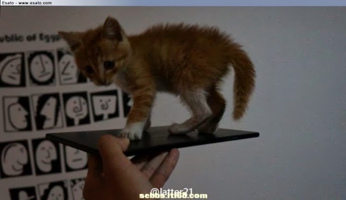 เผยภาพแรกของ Sony Xperia ZU (Togari ) หน้าจอขนาด 6.44 นิ้ว พร้อมลูกแมว