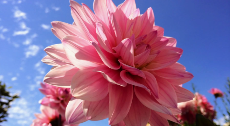 ชมภาพถ่ายและ VDO จาก iPhone 5s ที่ถ่ายจาก iSight camera และแฟลช LED คู่แบบใหม่ (ชมคลิป)