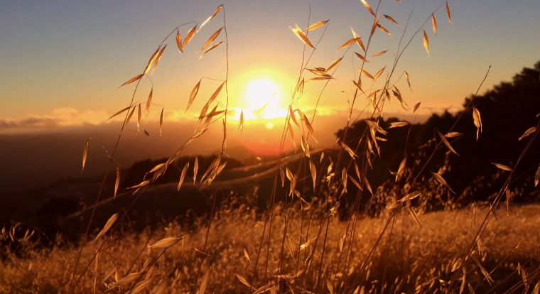 ชมภาพถ่ายและ VDO จาก iPhone 5s ที่ถ่ายจาก iSight camera และแฟลช LED คู่แบบใหม่ (ชมคลิป)