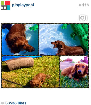 Appfree!! PicPlayPost แอพแบ่งเฟรม VDO ไว้โชว์บน IG ได้พร้อมกันมากกว่า 1 คลิป