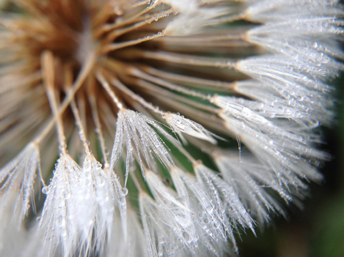 12-8-2013 4-49-58 PM