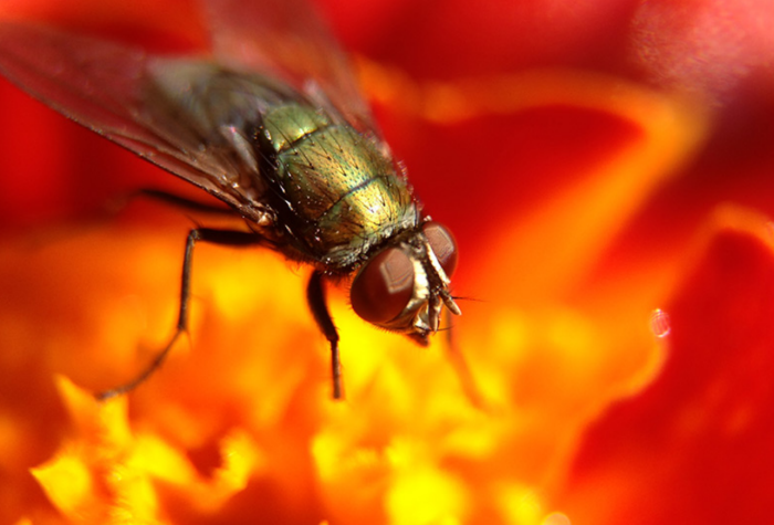 12-8-2013 4-50-13 PM