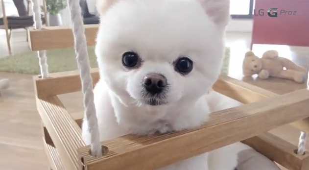 LG ปล่อยโฆษณา LG G Pro 2 ชูจุดเด่น Magic Focus ถ่ายแล้วปรับโพกัสทีหลังได้