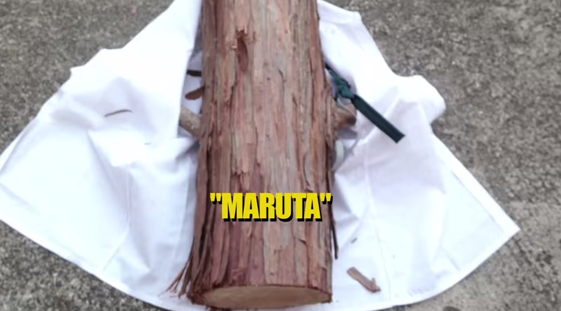 Screen Shot 2557-07-23 at 5.09.25 PM