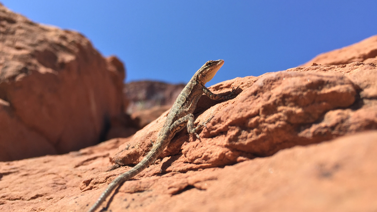 Screen Shot 2557-09-11 at 5.49.34 PM