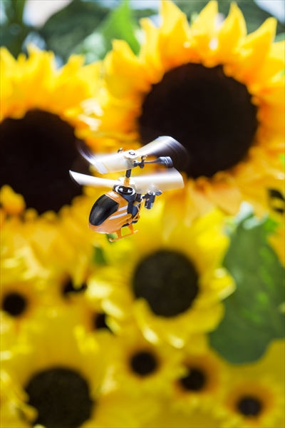 Pico-Falcon เฮลิคอปเตอร์ที่ควบคุมด้วยรีโมทคอนโทรลที่มีขนาดเล็กที่สุดในโลกราคา 1,450 บาท