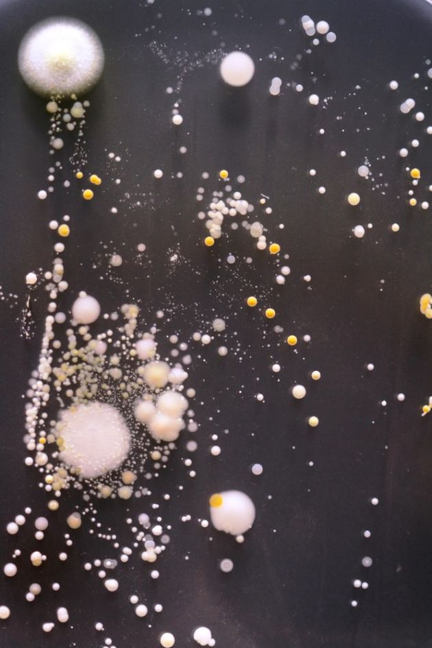 slide_282519_2137997_free