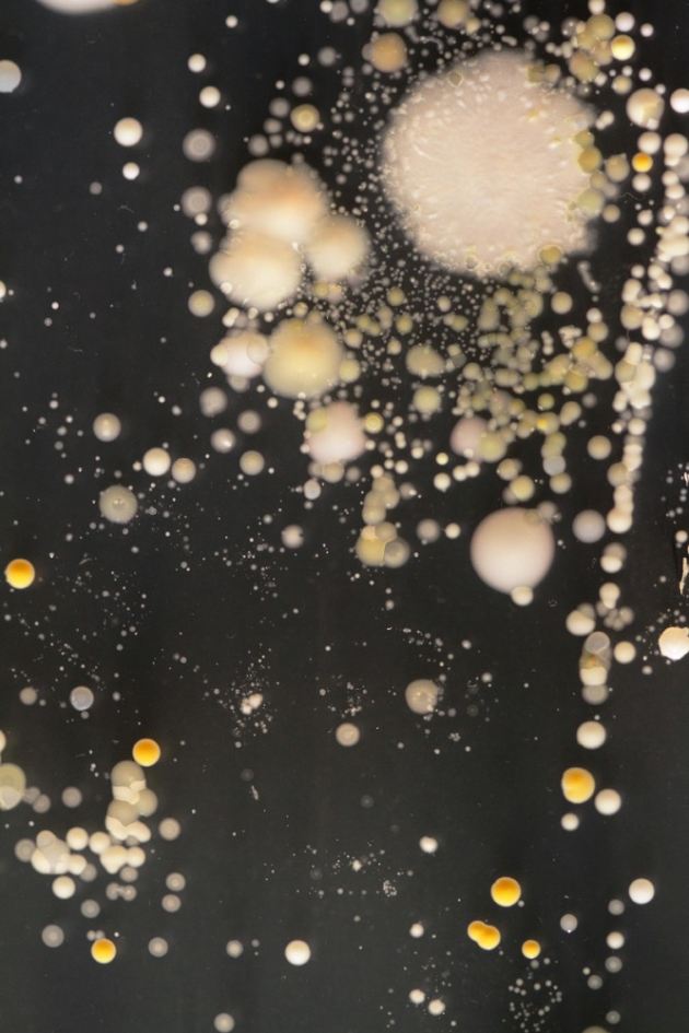 slide_282519_2137998_free