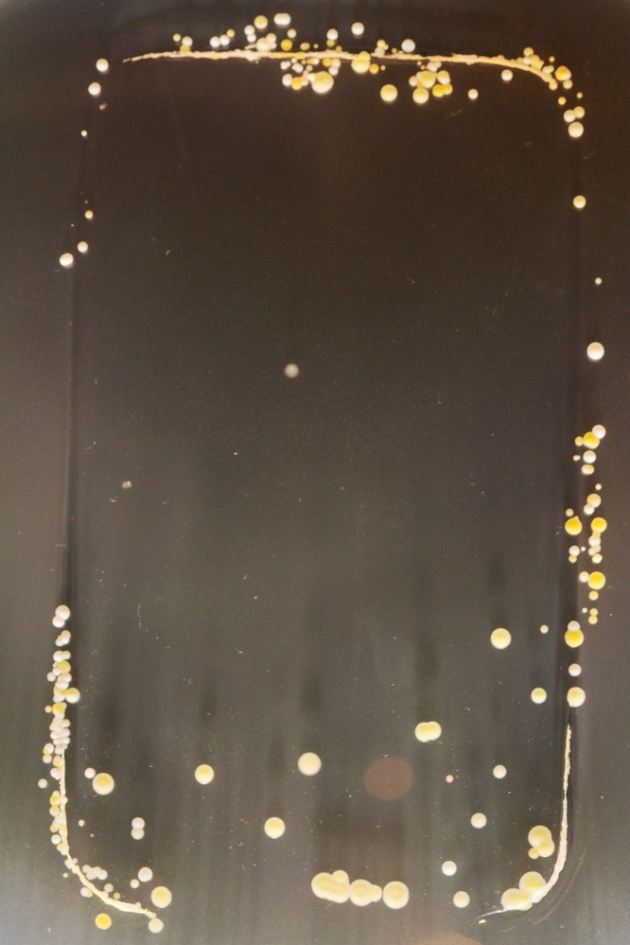 slide_282519_2138001_free