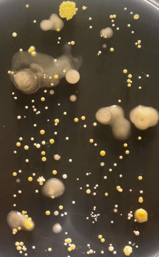 slide_282519_2138010_free