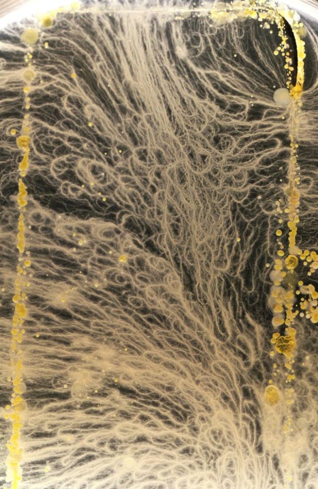 slide_282519_2138012_free