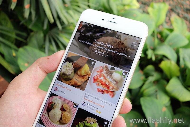 opensnap22 Flashfly Dot Net